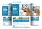 custom-flyers-atlanta-ga-usa-brochures